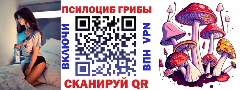 где продают   Невельск  Псилоцибиновые грибы мицелий 